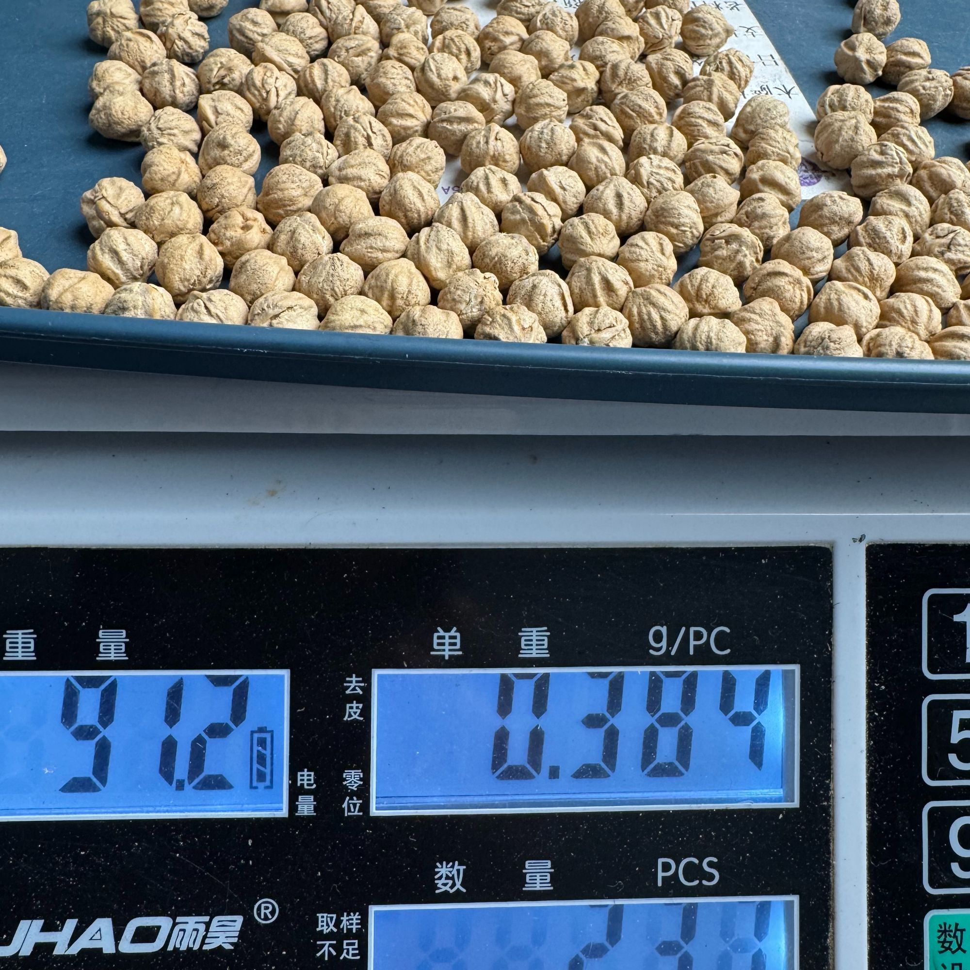 H8558稀缺超大尺寸圆桩柏香籽散籽高油高密9+91克237颗左右