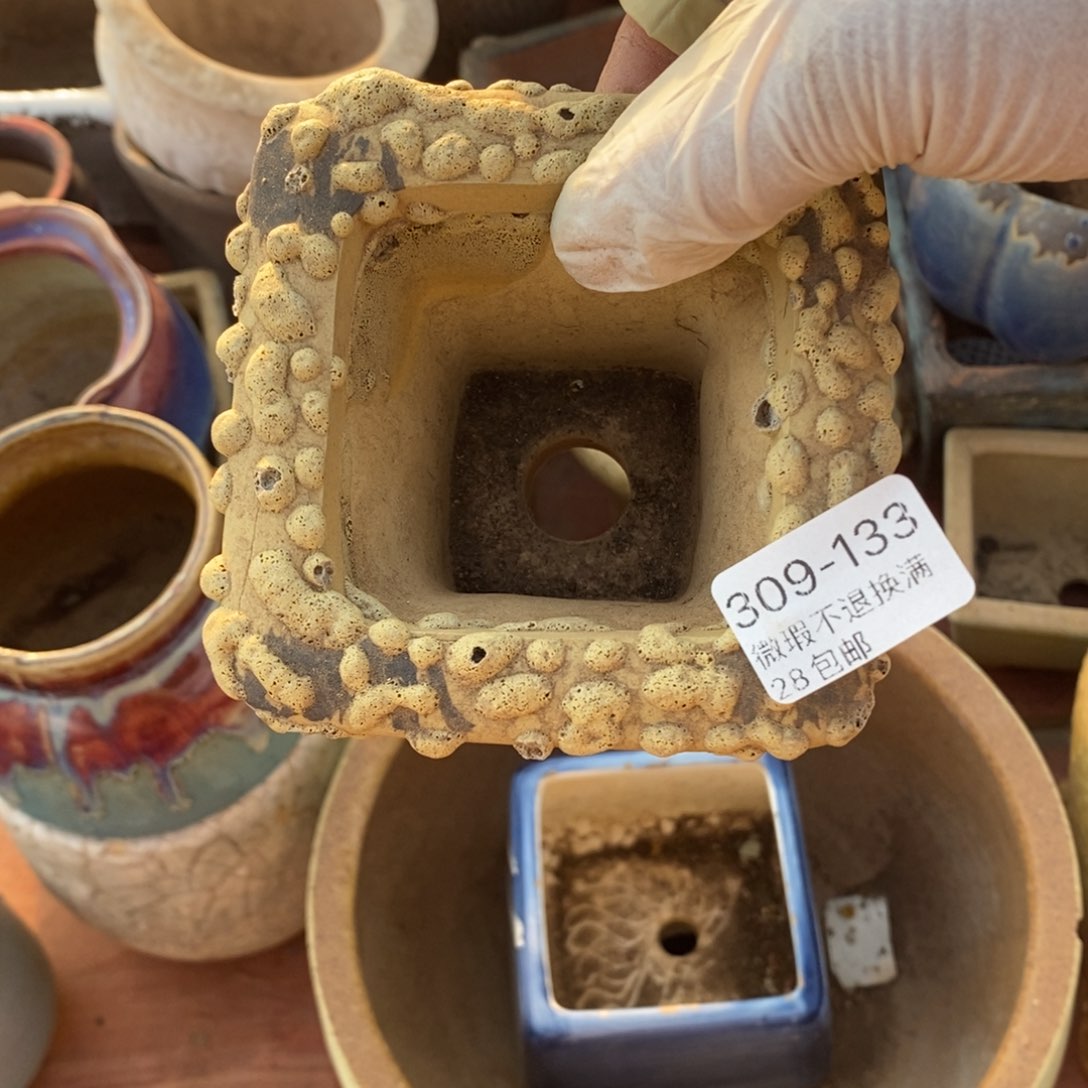 红陶颖**鸣133号多肉盆一个呀