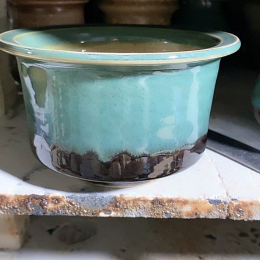 【闪购商品】红陶口11.5