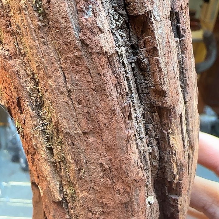 云**里降真香定制不退换