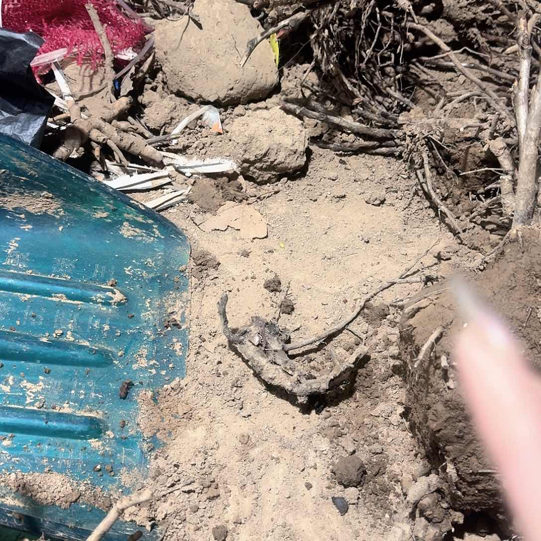 完全开放1111111111111