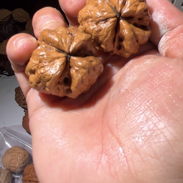 文玩核桃吊坠滇西铁核桃8