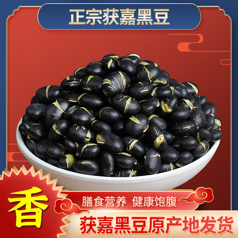正宗获嘉黑豆无油无盐干黑豆炒熟原味绿心黑豆香酥零食盐炒烤黑豆