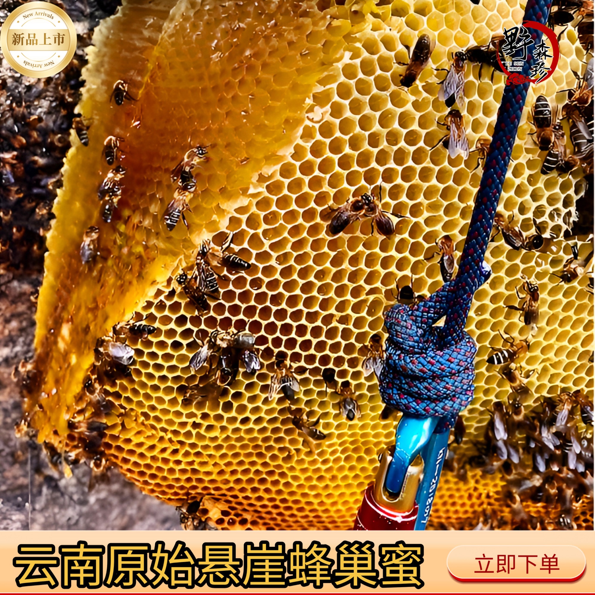 ༺悬崖蜂巢蜜¹༻2500克/一桶 原始醇香蜂巢蜜