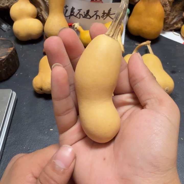 璞***緣8888……………………………………