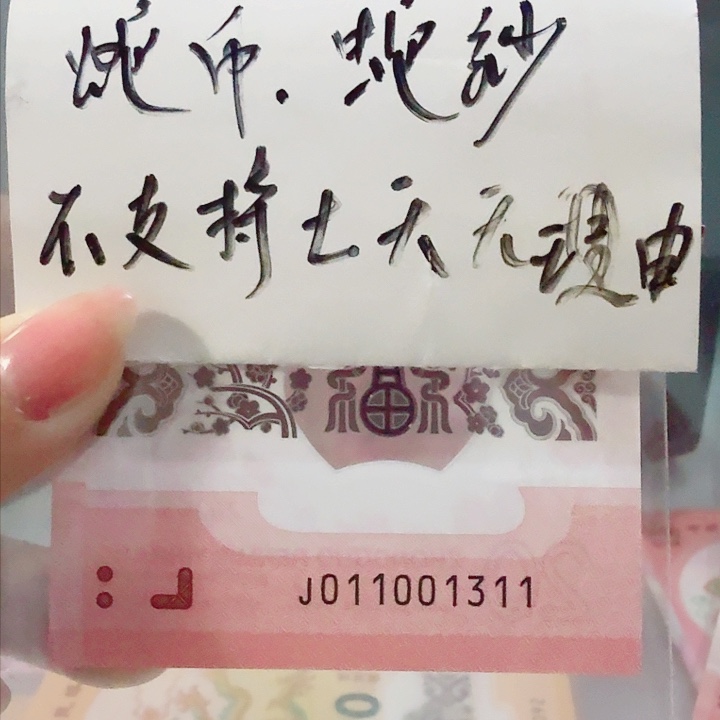 塑料01100131数三倒影王013组合