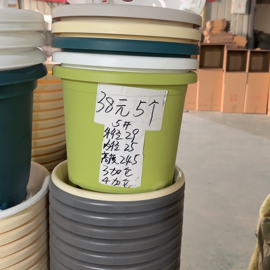 四季5#口径29无拖果绿10个