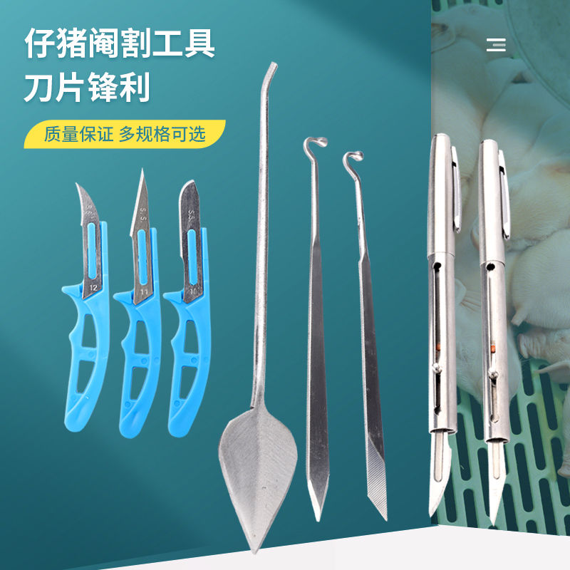 兽用阉割刀笔式小猪去势手术刀迷你猪用不锈钢敲猪阉猪工具煽猪刀