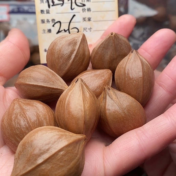 手串/手链橄榄核善
