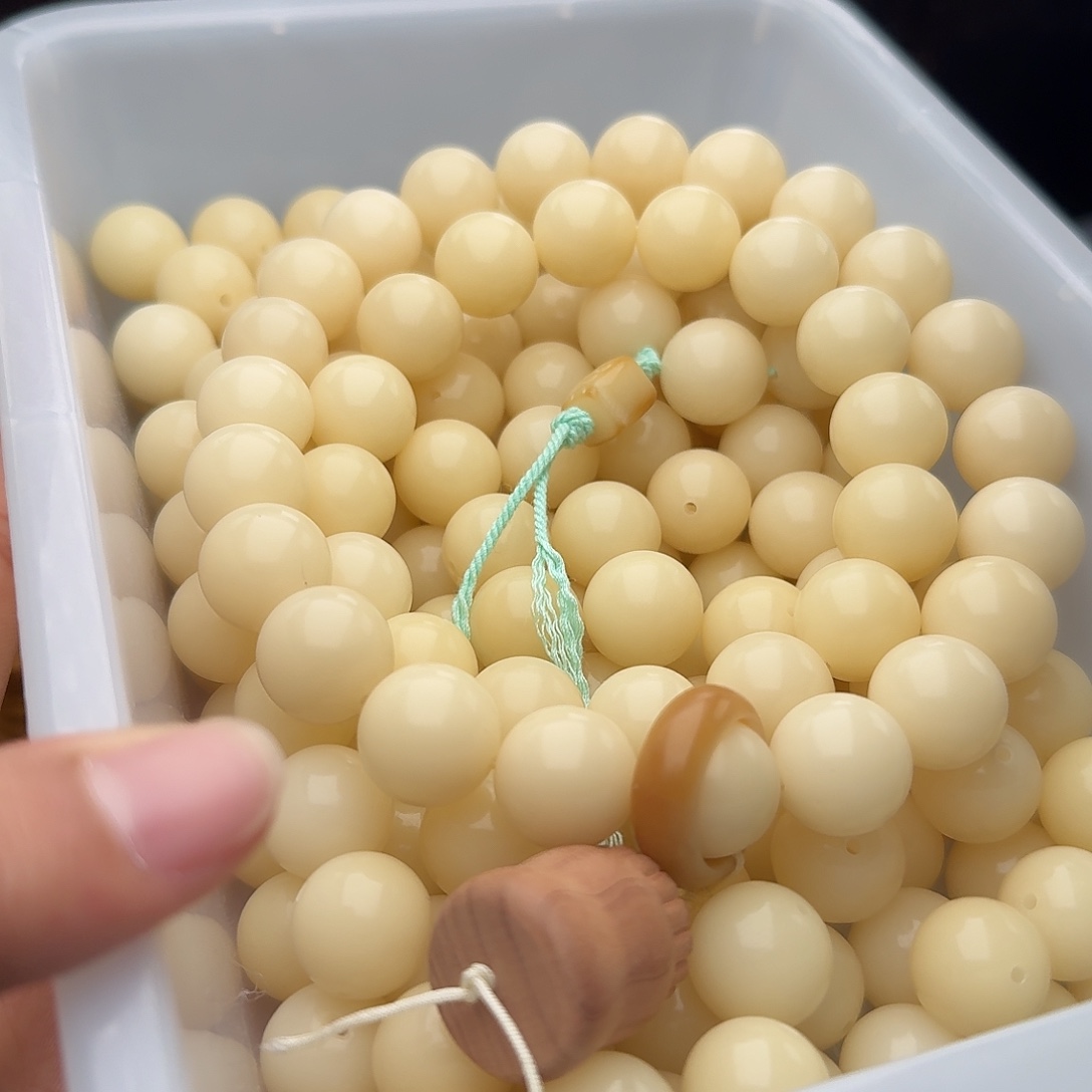 吊坠菩提根/象牙果50颗奶咖干磨15圆