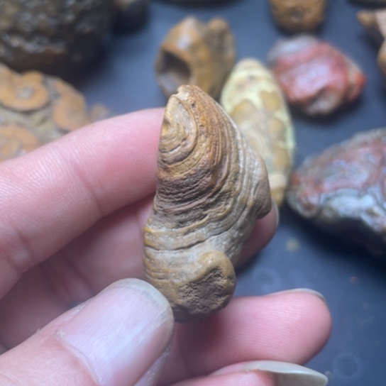 石材纯天然原石奇石221