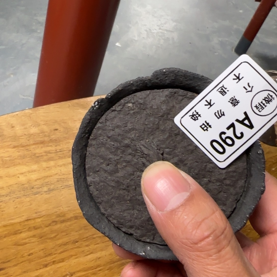 杯微瑕新年新气象，件件不一样