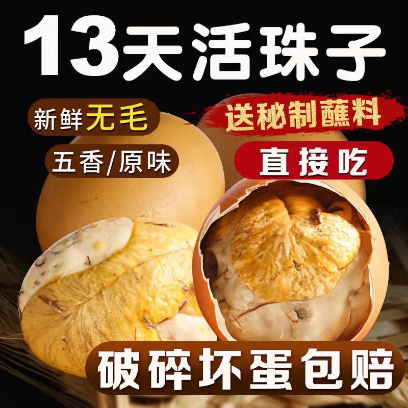 13天新鲜五香香辣钢化开袋即食正宗胚毛毛活珠子香辣味毛蛋活珠子