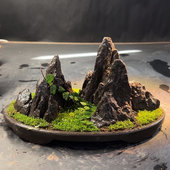 手工制作宋山石盆景009