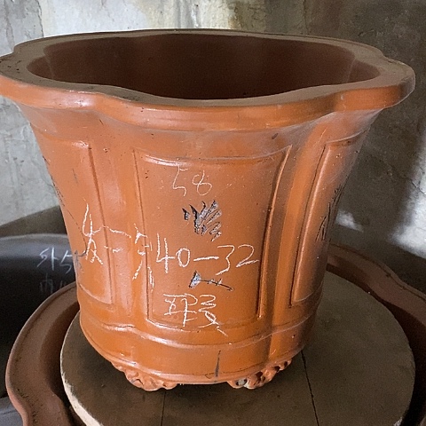 红陶中国宜兴紫砂花盆，