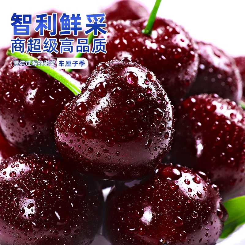 【智利空运进口车厘子】桑提娜车厘子鲜果2500g内附果径卡5J