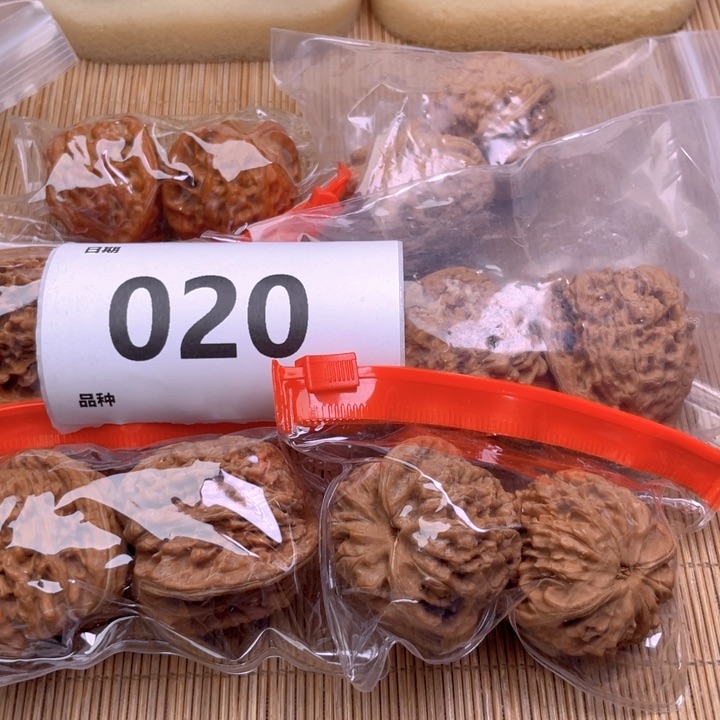 文玩核桃把件20号6对