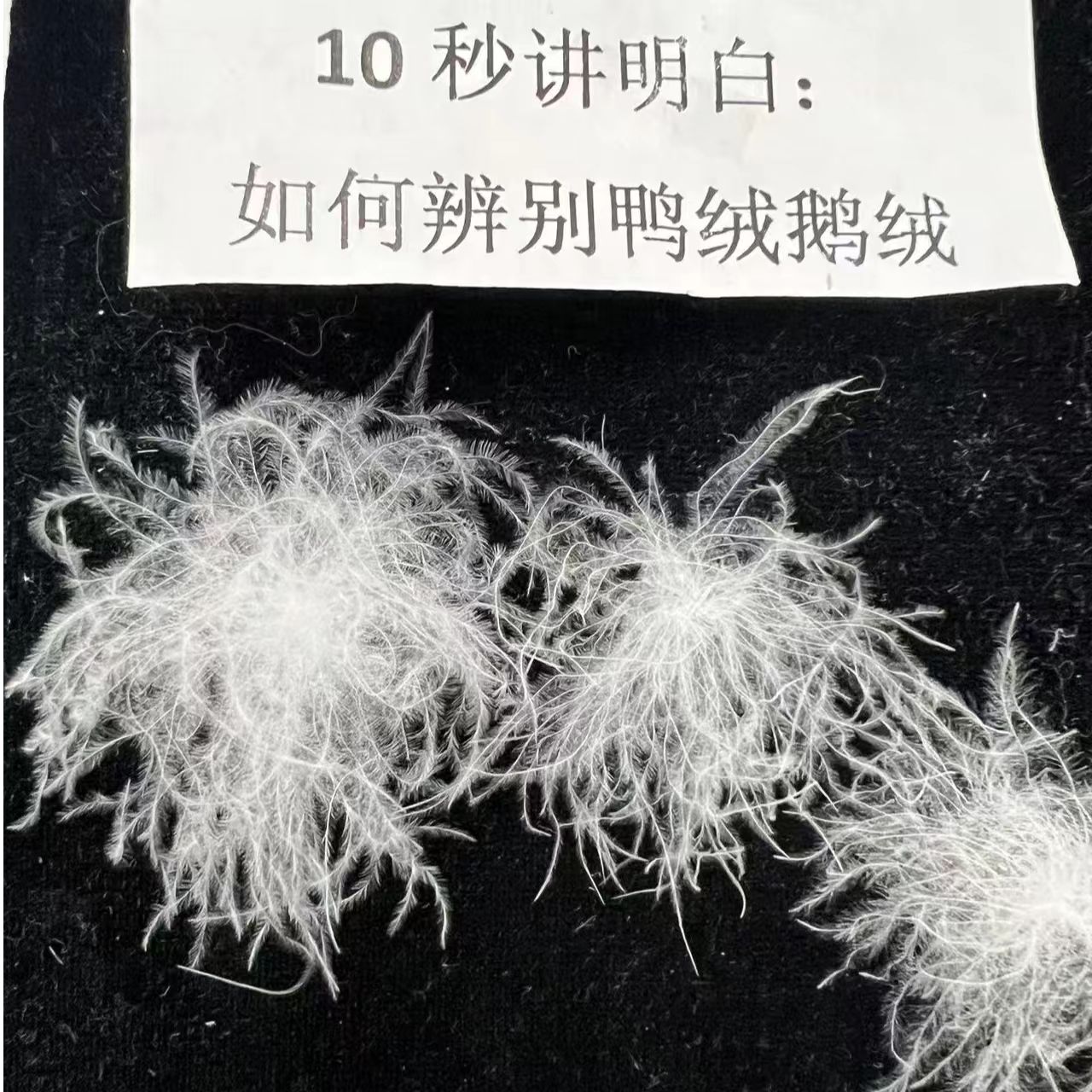 散装清水精品95白鸭绒吊吊绒90鸭填充羽绒被羽绒服羽绒内胆原材料