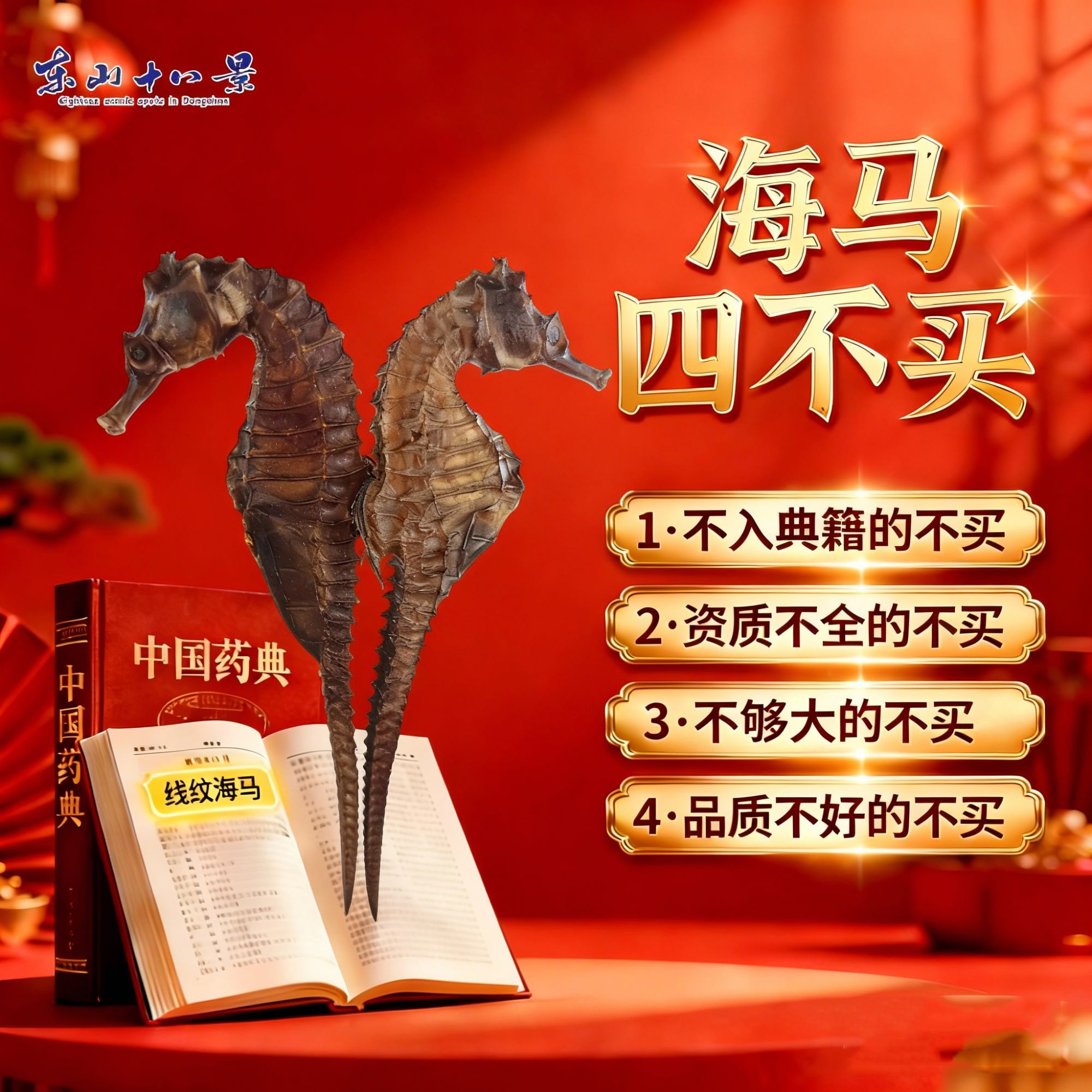 线纹海马泡酒干货煲汤带溯源码海产干货