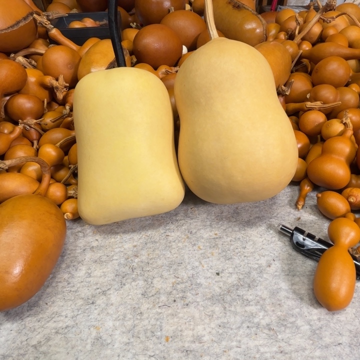 S***.S的两把S的两把胖墩葫芦