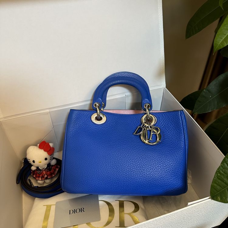 95新/迪奥/包包/[251231NKWC]/C8855491569