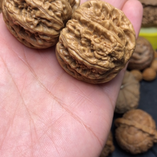 我***睡核桃手串/手链福利款