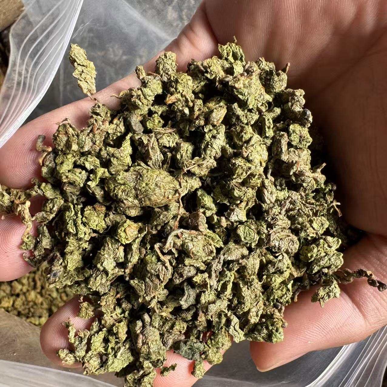 云南优选好物--金钱柳