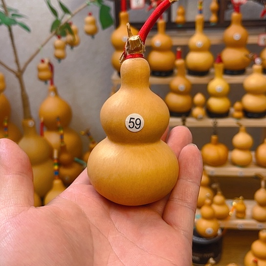 天坛墩厚皮响籽小精品