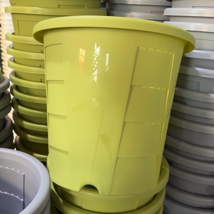 测6#口径33无托果绿5个