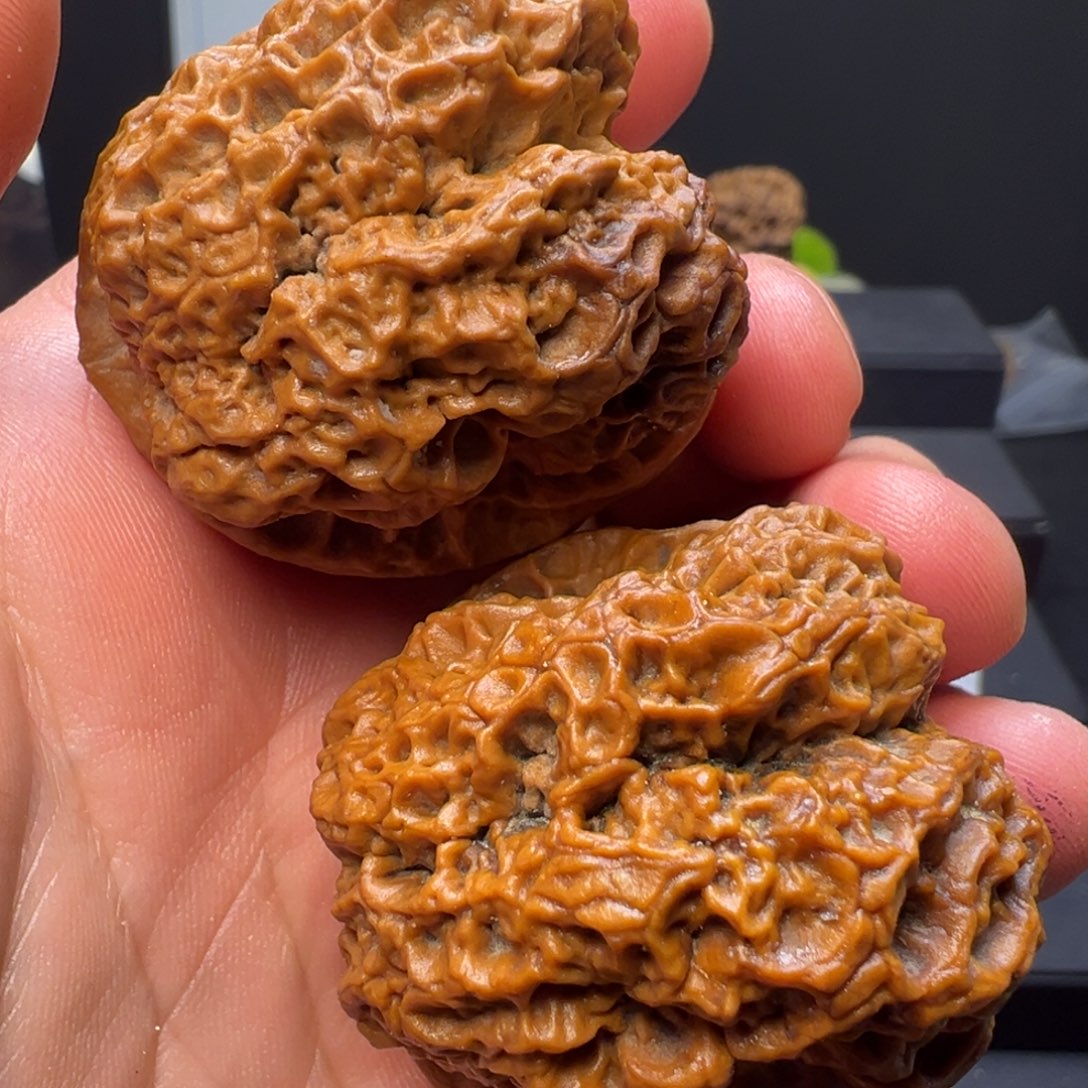 文玩核桃吊坠蛮荒古蟾46mm