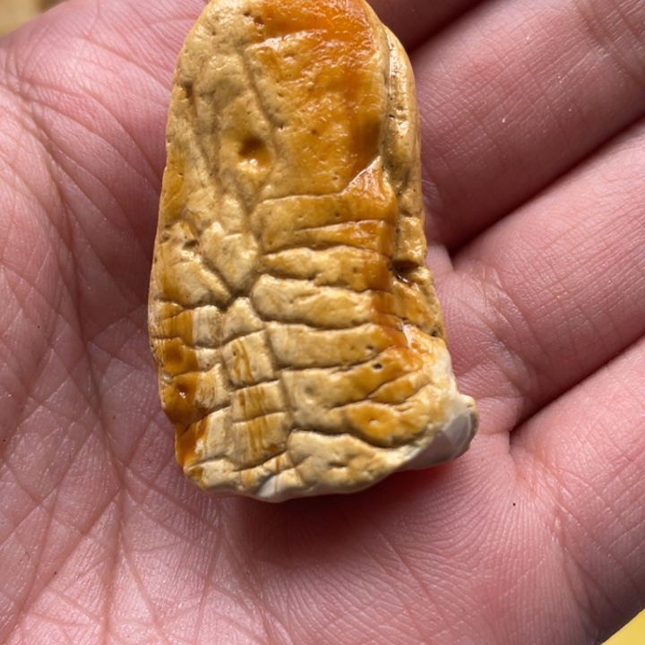 定制琥珀未镶嵌C****r琥珀蜜蜡原石定制