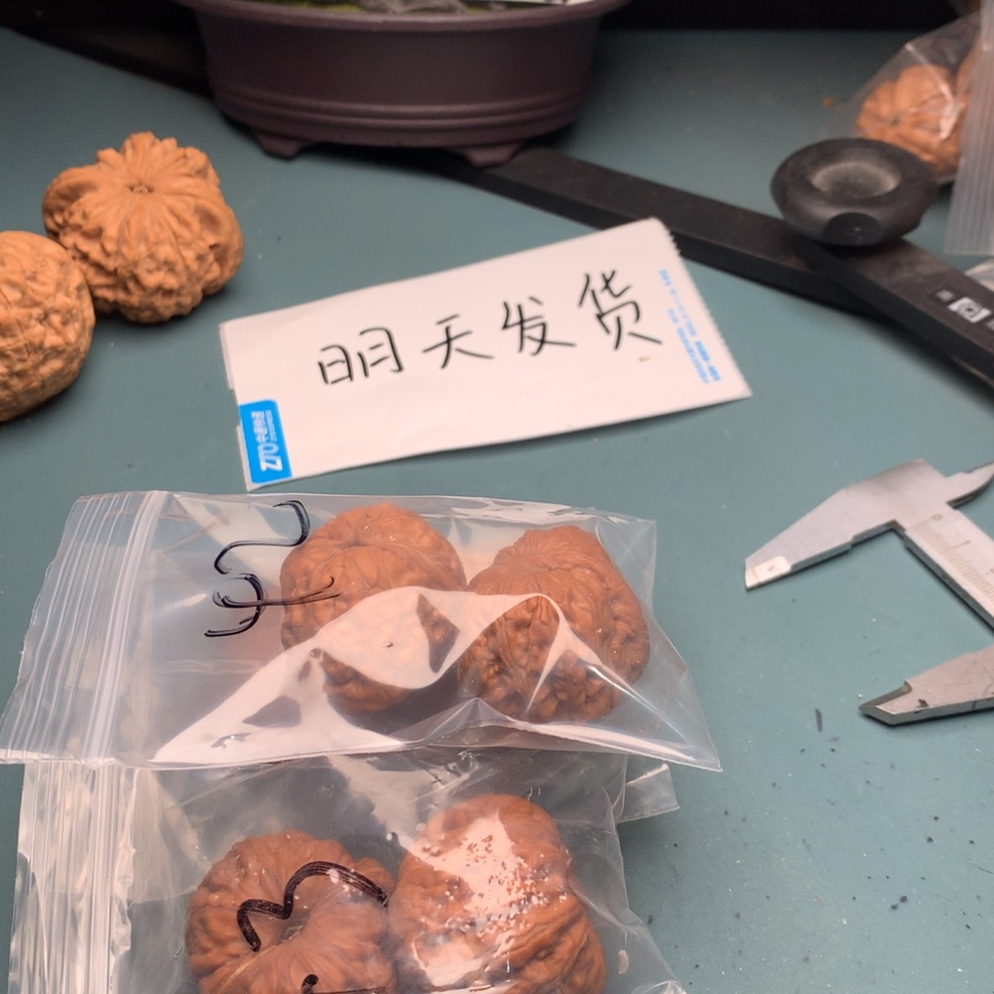 文玩核桃把件元宝4243