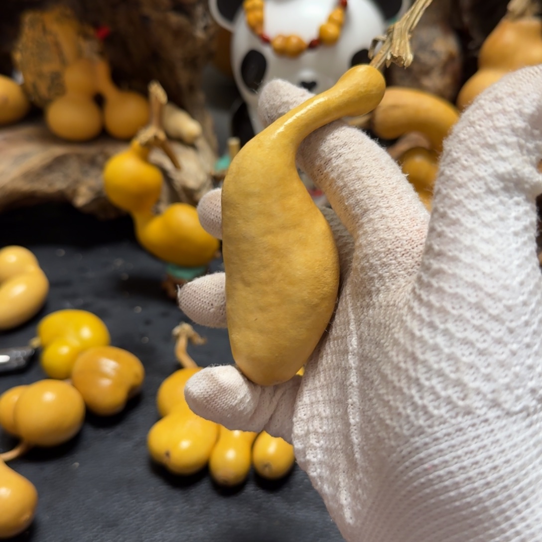 正****7…………………………………………