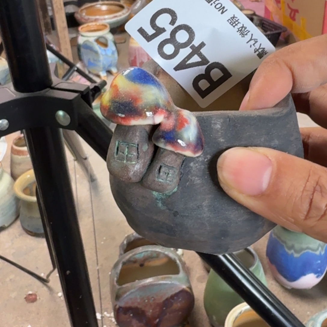 重庆小燕子欢迎大家485