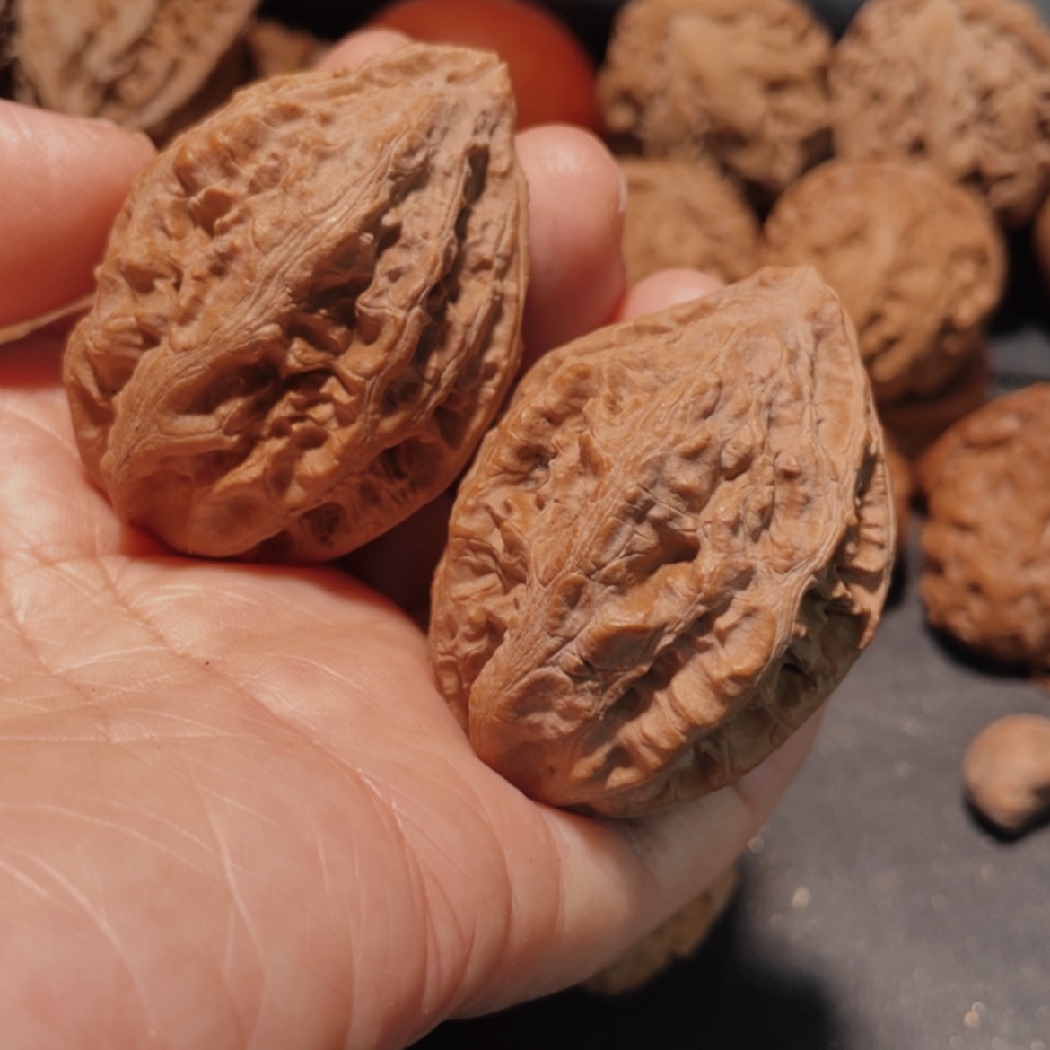 【闪购商品】把件文玩核桃东北楸子15