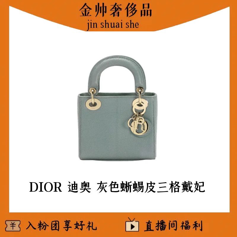 99新 DIOR/迪奥 灰色/三格戴妃/蜥蜴皮/单肩包/B6567