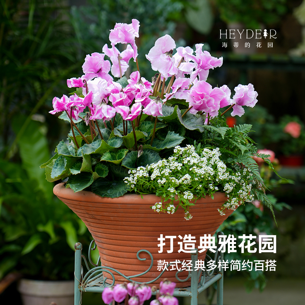 海蒂的花园桂花龙窑陶盆手工红陶盆园艺组合盆栽栽种透气疏水花盆