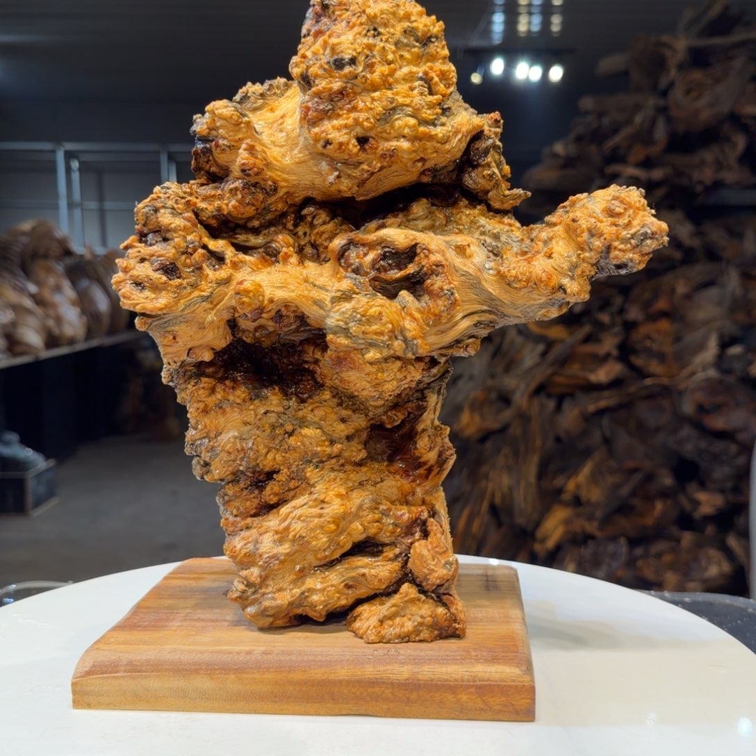马***功木王一刀琥珀木摆件106
