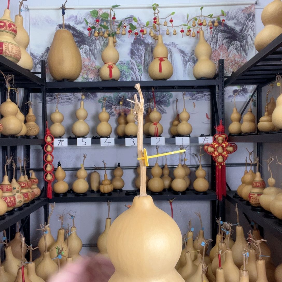 金****金葫芦葫芦葫芦葫芦葫芦葫芦葫芦葫芦葫芦