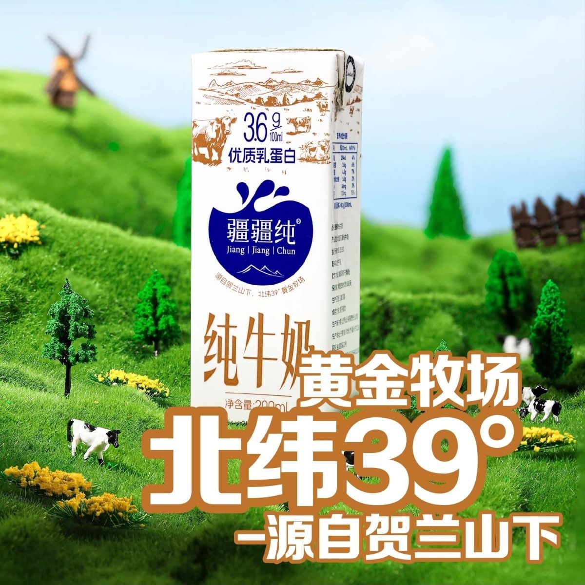 新货疆疆纯纯牛奶优质蛋白3.6成人儿童