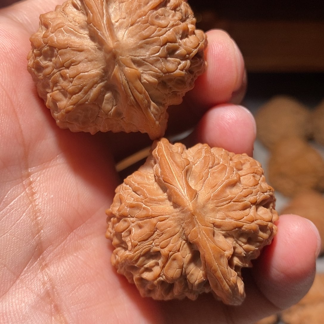 把件文玩核桃052血麒麟38尺全品头货对