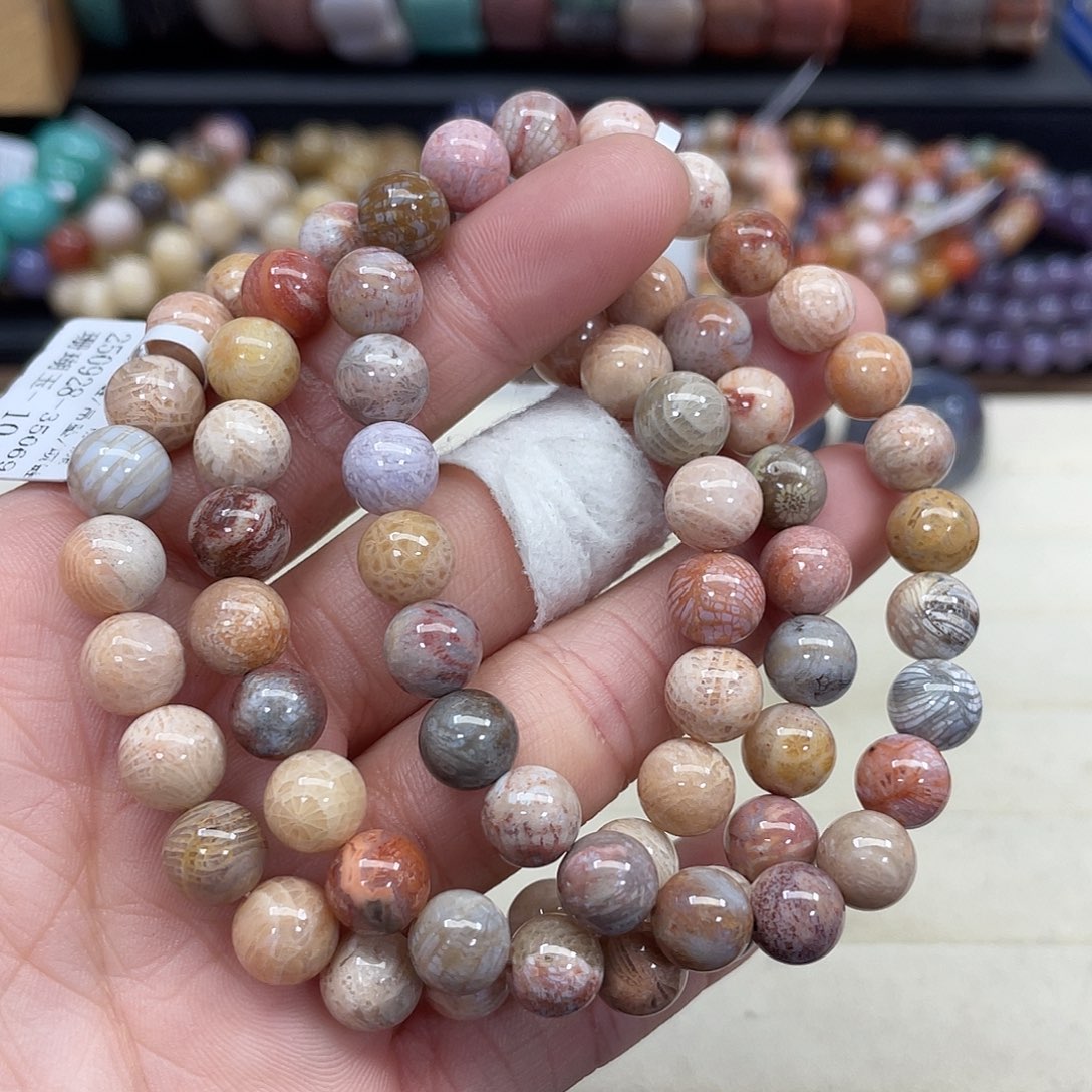 未镶嵌手串硅化珊瑚（珊瑚玉）572