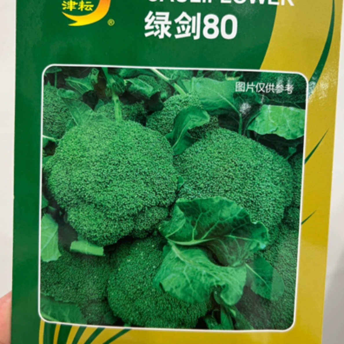 绿剑80西兰花种子