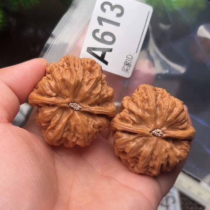 把件桃核核桃大粗42
