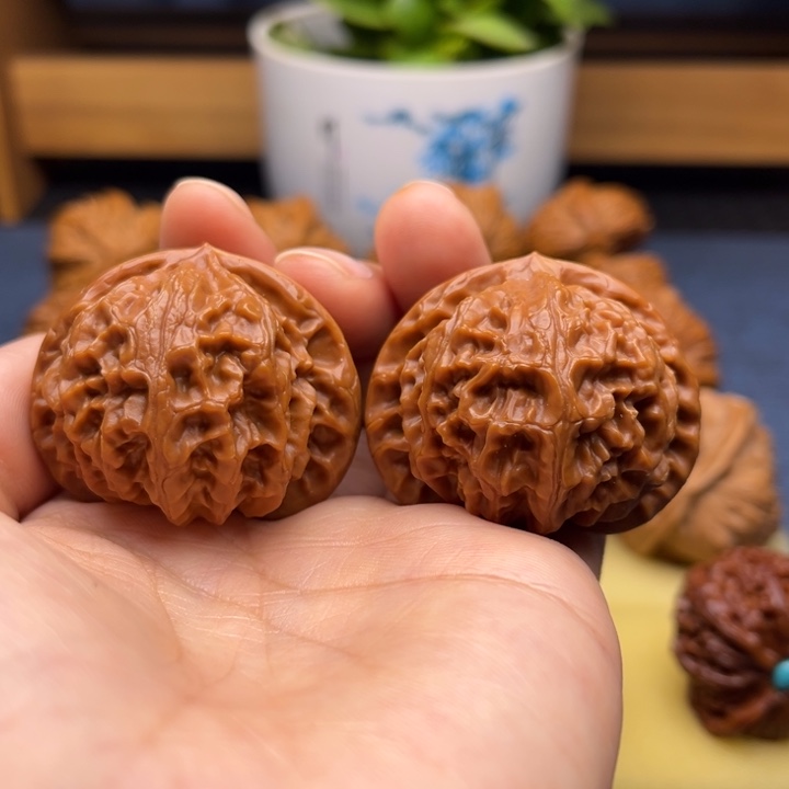 核桃42➕宫灯狮子头手工打底