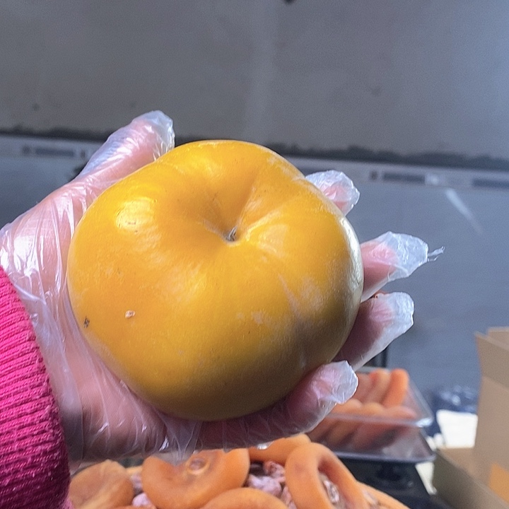 尖柿广西桂林柿子圆子