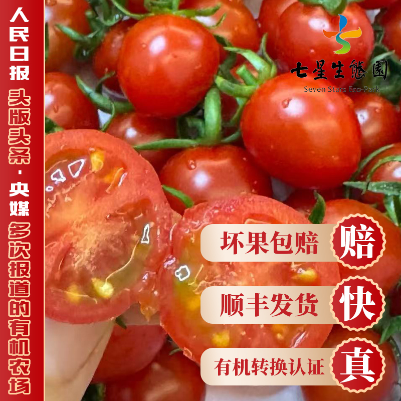 【樱桃红番茄】酸甜爆汁 源产地直发