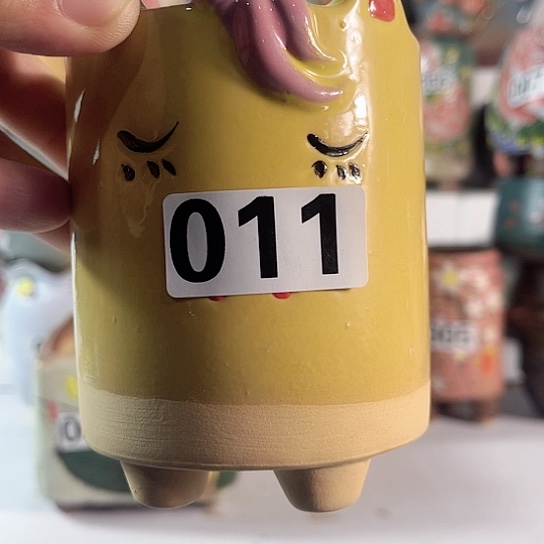 红陶多肉植物花盆