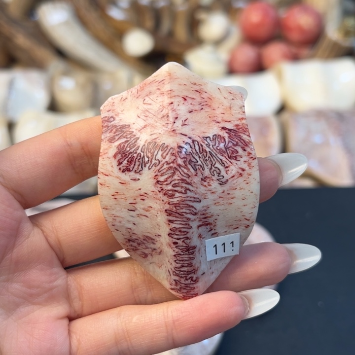 养殖梅花鹿三界牌