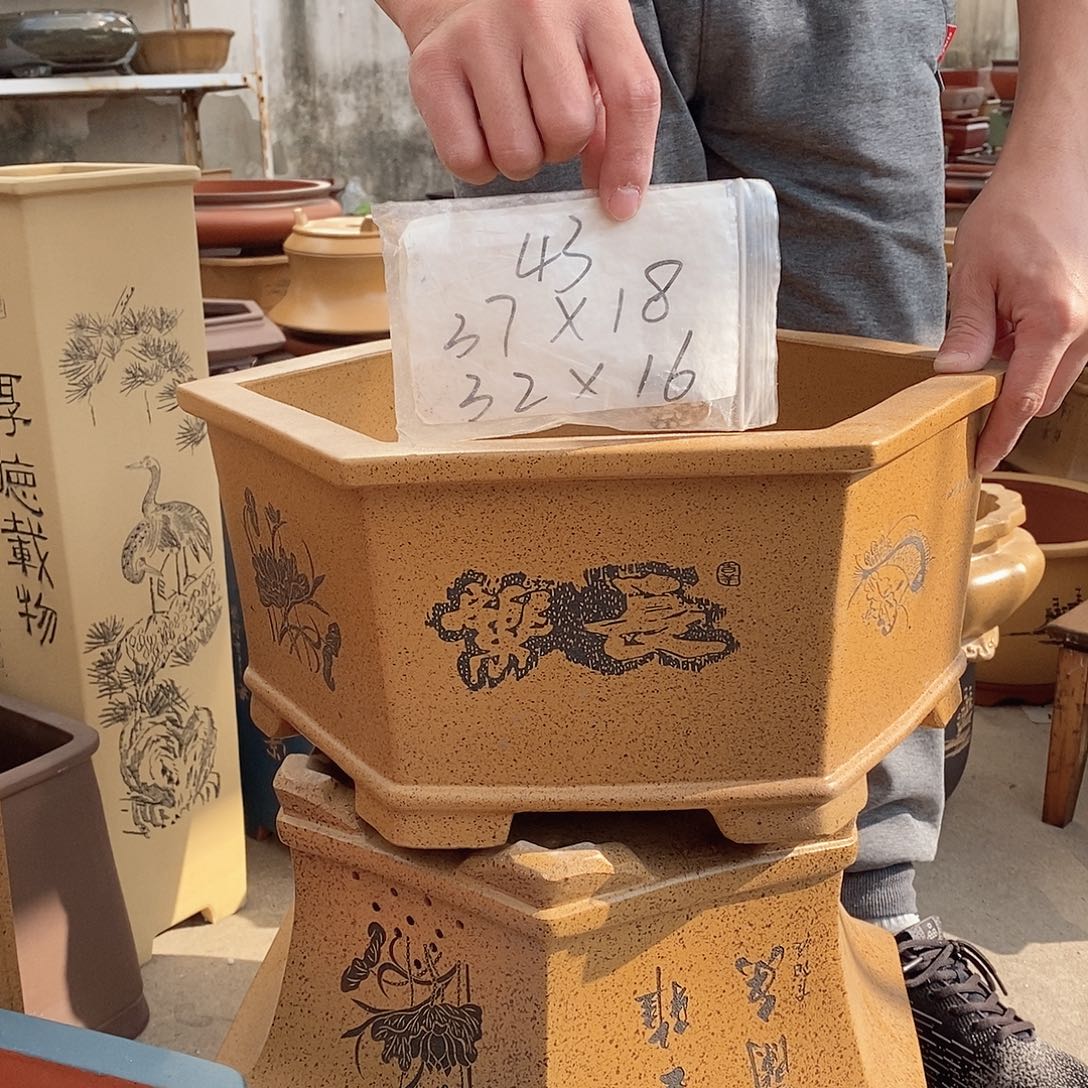 紫砂花盆紫砂花盆